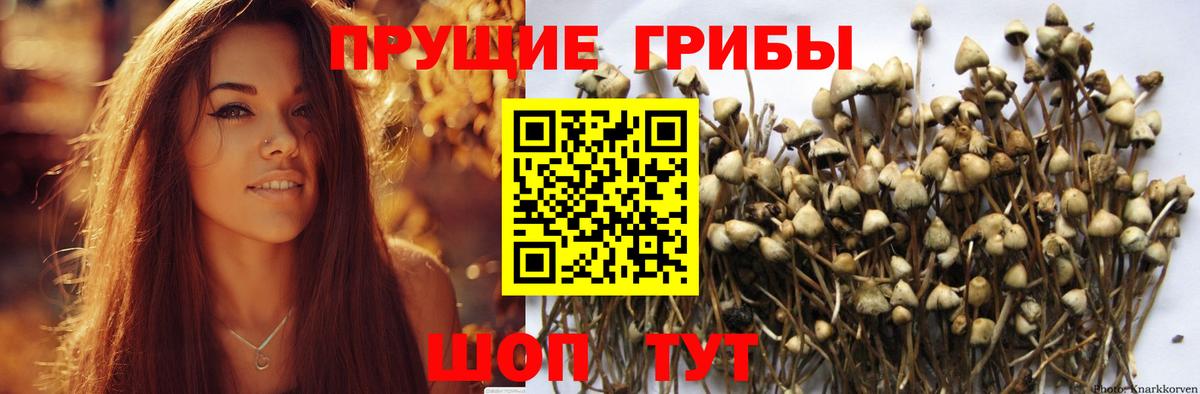 Дивногорск  Галлюциногенные грибы Magic Shrooms  Галлюциногенные грибы Psilocybe  Вход с VPN 