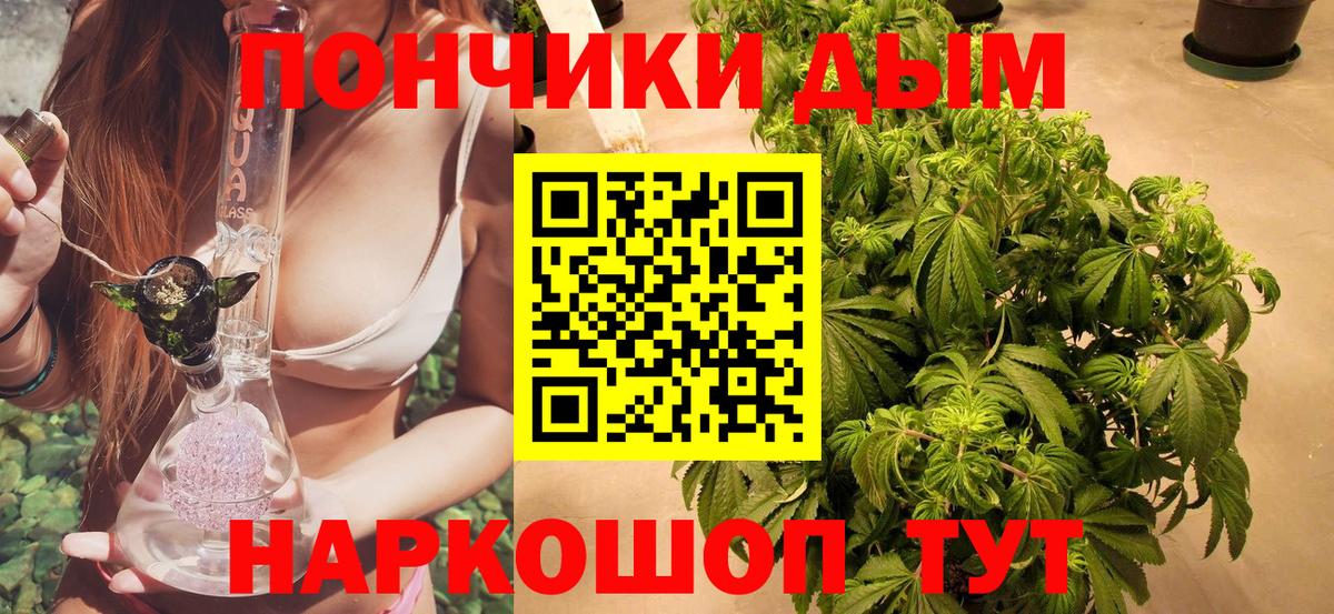 Дивногорск  Бошки Шишки сатива  Марихуана конопля  Вход с VPN 